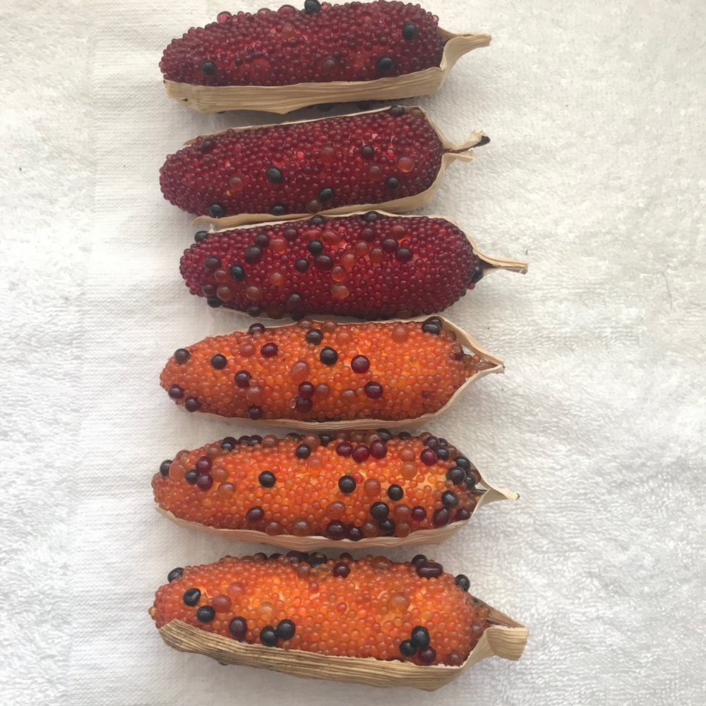 Mini Beaded Corn on The Cob Bowl Fillers Thanksgiving Table Scatter Decor 6pc 4"